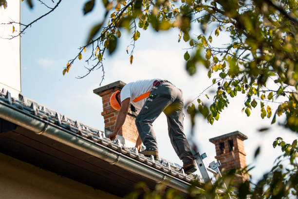 Best Best Roofing Contractors  in Darlington, WI