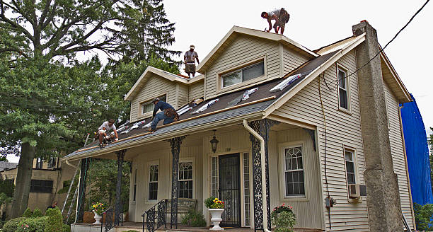 Best Storm Damage Roof Repair  in Darlington, WI
